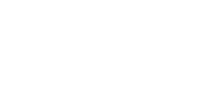insignia overlay