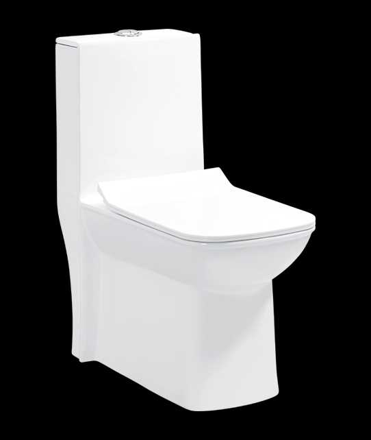 One Piece WC
