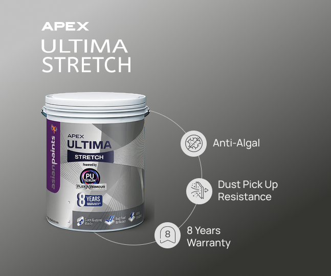 Apex Ultima Stretch