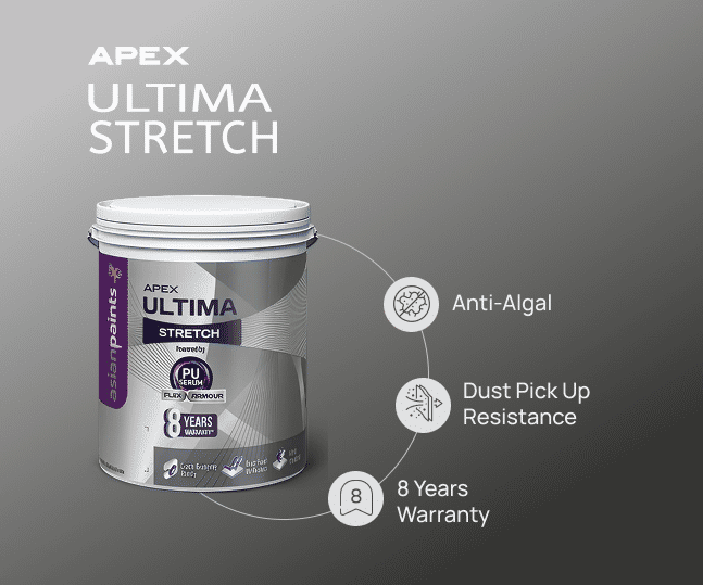 Apex Ultima Stretch