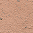 Variant 7