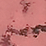 Variant 3