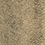 Variant 1