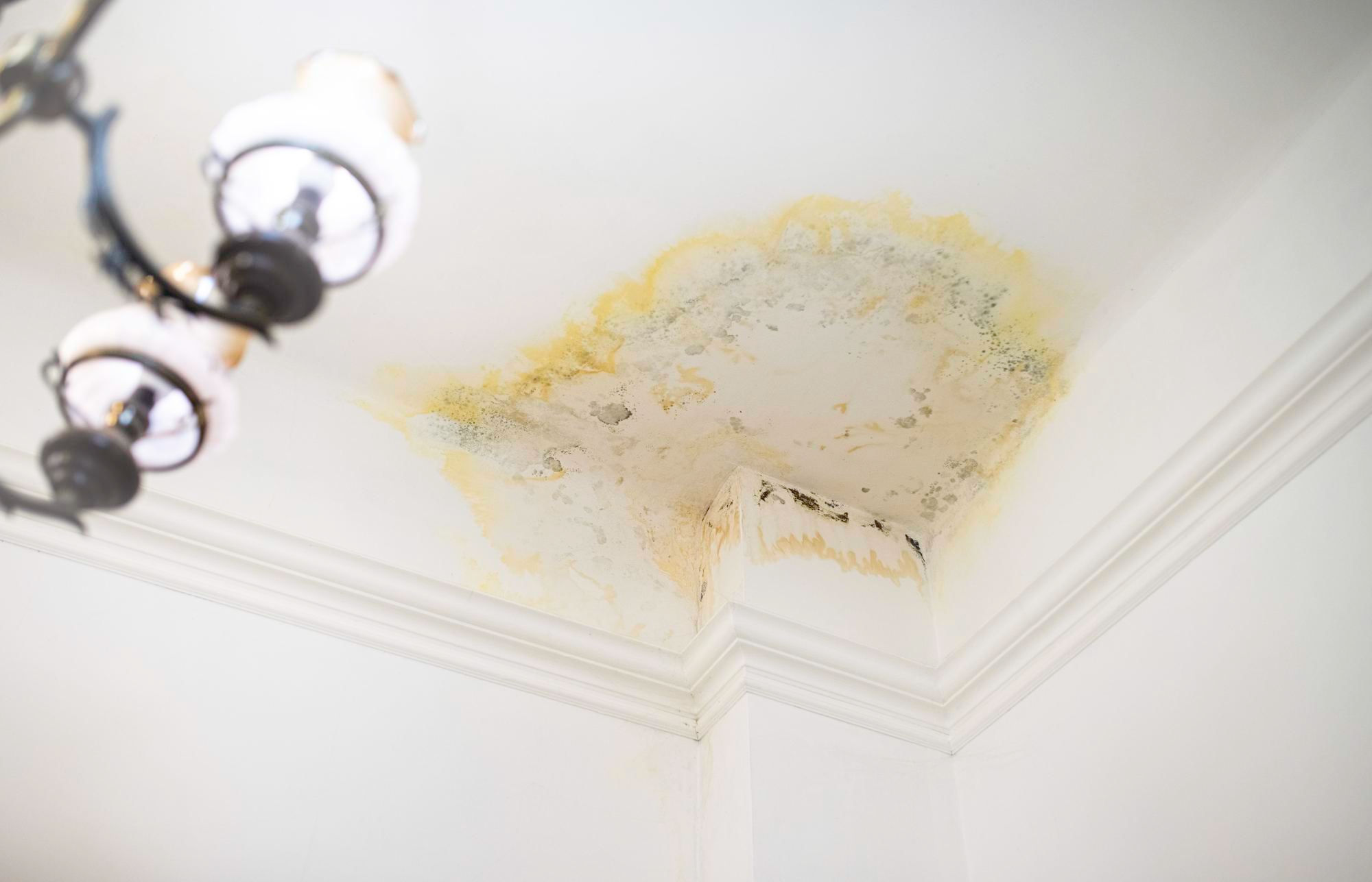 Common Waterproofing Failures in Ethiopian Homes (and How to Avoid Them)